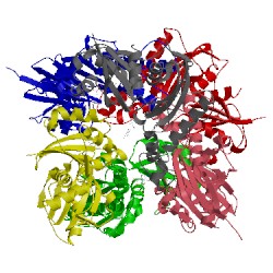 Image of CATH 3bf1