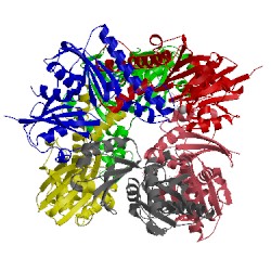 Image of CATH 3bf3