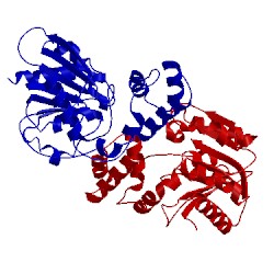 Image of CATH 3bf7