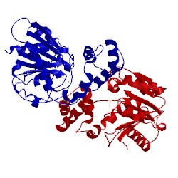 Image of CATH 3bf8