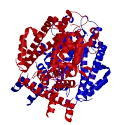 Image of CATH 3bg2