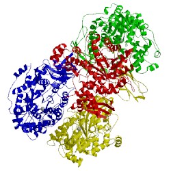 Image of CATH 3bg3