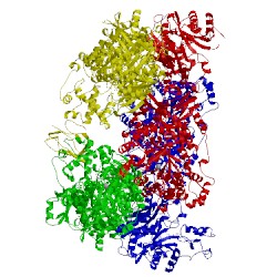 Image of CATH 3bg5