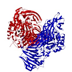 Image of CATH 3bga
