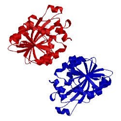 Image of CATH 3bgd
