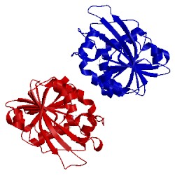 Image of CATH 3bgi
