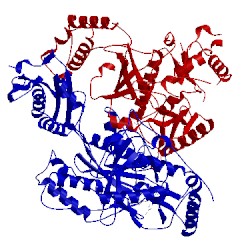 Image of CATH 3bgr