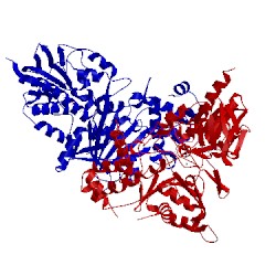 Image of CATH 3bi5