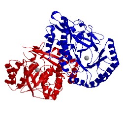 Image of CATH 3bjs