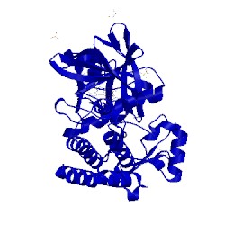 Image of CATH 3bkb