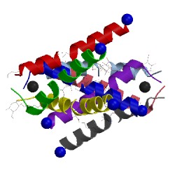 Image of CATH 3bkd