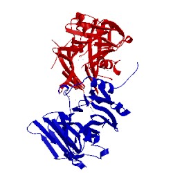 Image of CATH 3blc