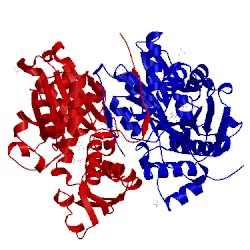 Image of CATH 3bm5