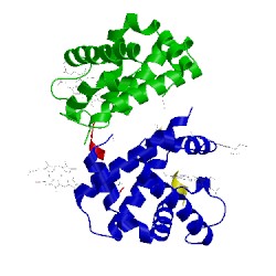 Image of CATH 3bom