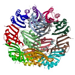 Image of CATH 3bpd