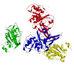 Image of CATH 3bpf