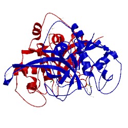 Image of CATH 3bpm