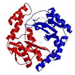Image of CATH 3brc