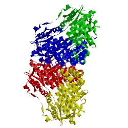 Image of CATH 3bsm