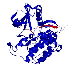 Image of CATH 3bu6