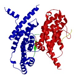 Image of CATH 3bu8