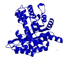Image of CATH 3bv4