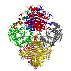 Image of CATH 3bv6