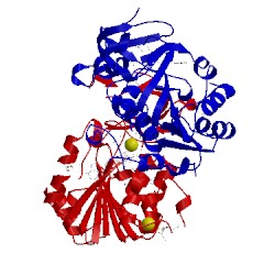 Image of CATH 3bwc