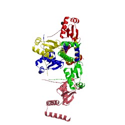 Image of CATH 3by6