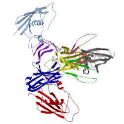 Image of CATH 3byt