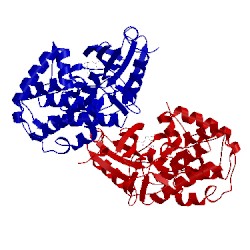 Image of CATH 3c0h