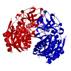 Image of CATH 3c0k