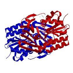 Image of CATH 3c1a
