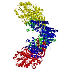 Image of CATH 3c1n