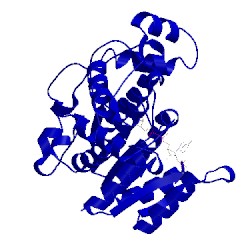 Image of CATH 3c1o