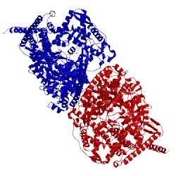 Image of CATH 3c2p