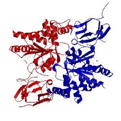 Image of CATH 3c2q