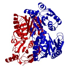 Image of CATH 3c3b