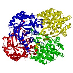 Image of CATH 3c3n