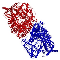 Image of CATH 3c46