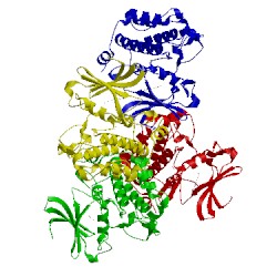 Image of CATH 3c4e