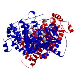 Image of CATH 3c51