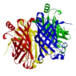 Image of CATH 3c5o