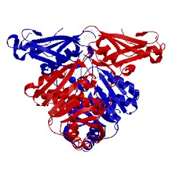 Image of CATH 3c87