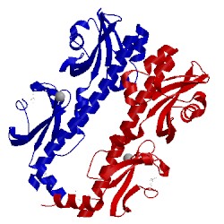 Image of CATH 3c8c
