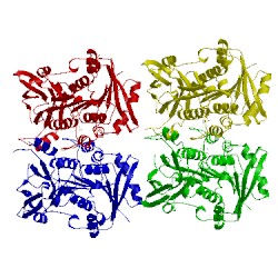 Image of CATH 3c8d