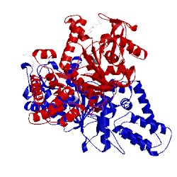 Image of CATH 3c8z