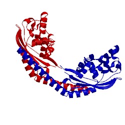 Image of CATH 3c9d
