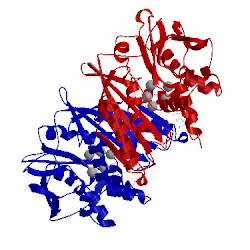 Image of CATH 3c9t