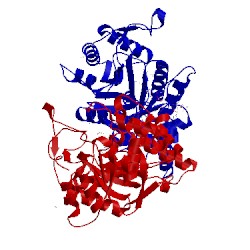 Image of CATH 3caq